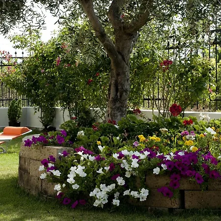 Residenza La Ricciolina